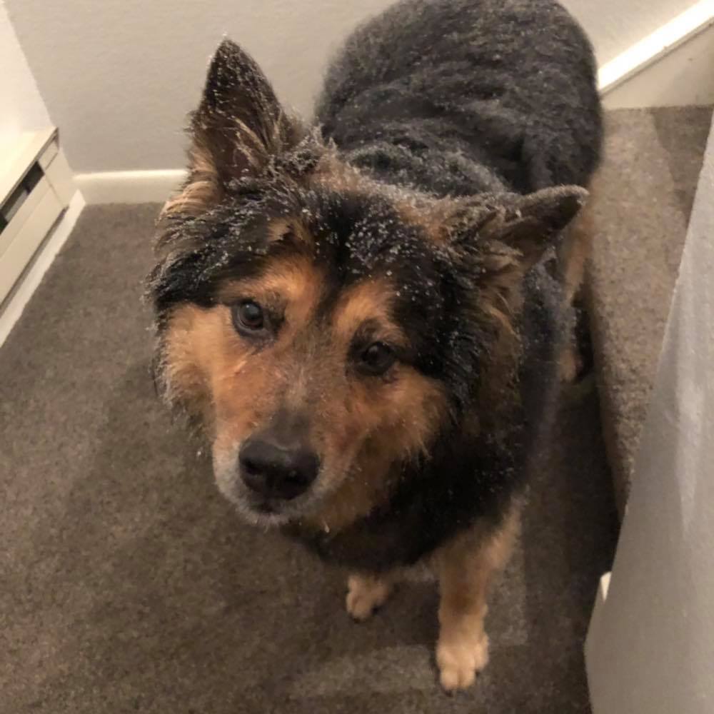 Meet your Posher, Nikki